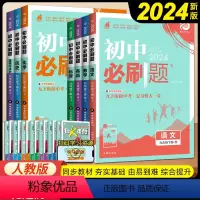 九年级下册[全套7本] 九年级/初中三年级 [正版]2024新版 初中语文数学英语物理化学历史政治九年级上册下册中考同步