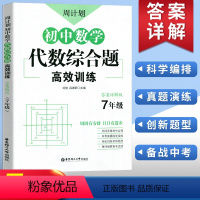 [正版]周计划初中数学代数综合题高效训练七年级人教答案详解版 7年级上下册必刷代数题同步训练题库真题练习册解题技巧初中