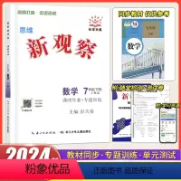 数学 七年级下 [正版]2024新版 思维新观察七年级下册数学 初中初一7年级下册数学完全与课时作业专题训练培优压轴题练
