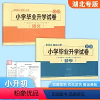 语文+数学 小学升初中 [正版]2023湖北专版小学毕业升学试卷语文数学真题卷 湖北小考小升初必刷卷六6年级小升初升学必
