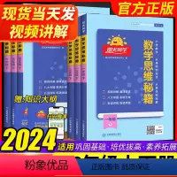 数学思维秘籍 一年级下 [正版]2024新版阳光同学数学思维秘籍训练一二三年级四五六下册小学数学思维能力培养奥数思维逻辑