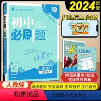 历史 八年级下 [正版]2024版人教版初中八年级下册历史同步练习册理想数真题培优专项训练初二教辅复习资料八下历史狂K重
