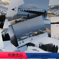 [正版]雪雾森林 摄影师@七号28张冬日新疆景色风景摄影作品 雪山森林山川浪漫清新自然出类艺术明信片创意唯美插画集文创