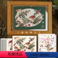 [正版]森林物志 吉积原创植物花卉风景插画 14张日番美绘创意复古清新治愈插画作品明信片感受对大自然的热爱以及对悠然生