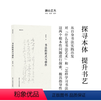 [正版]湖山艺丛:书法的形式与创作 胡抗美著 汉字书法文集 了解书法史书法理论书法文化的极佳入门读本书法爱好者艺术创作