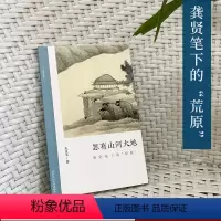 [正版]忽有山河大地:龚贤笔下的“荒原” 朱良志中国山水画历代经典美术理论评论历史绘画解析注释鉴赏艺术画册图书籍 文人