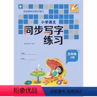 语文 [正版]小学语文同步写字练习(五年级上下册)全套两册 吴师字通硬笔书法练习册生字本拼音笔画生字结构田字格学习铅笔字
