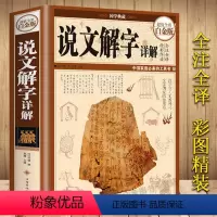 [正版]彩图精装说文解字详解 图解古代汉语语言文字许慎字典今释十二讲今释详解部首段玉裁注咬文嚼字细说汉字的故事画说汉字
