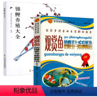 [正版]观赏鱼的喂养与疾病防治+锦鲤养殖大全(2册)观赏鱼锦鲤养殖技巧入门养护喂养技巧教程常见疾病防治书籍