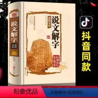 [正版]说文解字书籍国学许慎原版 540部首篆书字注解精装大字本 图解详析今释全版说文解字大全集注解译文无删减小学生版