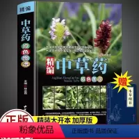 [正版]2册精编中草药原色图谱中国药典中草药全图鉴中国药材 中医书籍大全中药材医药 300余种常用中草药识别书 中医养