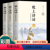 [正版]枕上诗词 全3册 一诗一词念红尘 一字一句品人生 以历史解诗词 以诗词串历史 诗词历史融会贯通 与你我不期而遇