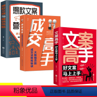 [正版]全3册文案高手+成交高手+文案与营销策略文案高手文案写作文案马上上手案撰写策划实用文案与活动策划文案训