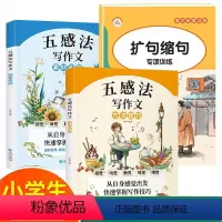 五感法写作文[方法技巧+素材积累+扩句法] 小学通用 [正版]五感法写作文三到六年级 小学作文写作技巧书籍精选满分范文