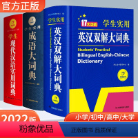 3册 汉语大词典+英汉双解大词典+成语大词典 小学通用 [正版]小学生成语大词典2023新版英汉双解辞典初中高中学生实用