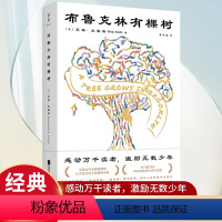 [正版]布鲁克林有棵树 贝蒂·史密斯著 现代外国长篇励志小说激励无数少年的经典成长小说改编电影曾获奥斯卡奖