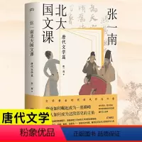 [正版]张一南北大国文课:唐代文学篇 走进更真实、更精彩的《长安三万里》 文学黄金时代的风骨与兴象 张一南国文课系