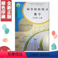 七上数学同步轻松练习 七年级/初中一年级 [正版]2022人教版七7年级上册数学同步轻松练习 数学七年级上册配套练习册
