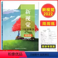 [正版]上海版 新视觉 七年级下册 数学周周练 含参考答案 7年级下册第二学期 上海初中数学沪教版辅导用书 湖南师范大