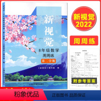 [正版]2022上海版 新视觉八年级下册 数学周周练 含参考答案 初中8年级下册第二学期 上海初中沪教版数学辅导用书