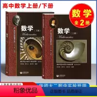 数学 上册+下册 高中通用 [正版]高中学科强基丛书数学上下册+习题详解知识梳理例题解析高中高一高二高三数学基础知识华师