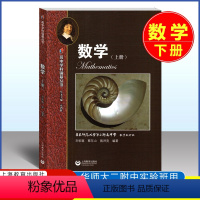 数学 下册 高中通用 [正版]高中学科强基丛书 数学 下册 刘初喜 蔡东山/编著 高中数学同步学习辅导 高一高二高三例题