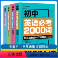 初中英语专项训练全4套 初中通用 [正版]初中英语语法137个核心考点+初中英语必考2000词完形填空与阅读理解200题