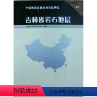 [正版] 吉林省岩石地层 李东津 中国地质大学出版社