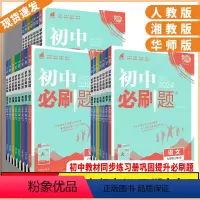 数学+语文+英语人教版3本套装 九年级下 [正版]湖南2024新版初中必刷题七年级八年级九年级上册数学语文英语物理化学历