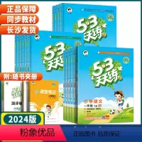 语文+数学人教版套装2本 六年级下 [正版]湖南2024春季53天天练一二年级三年级四五六年级下册语文数学英语人教苏教外