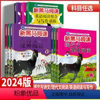 3本套装)现代文+古诗文+英语阅读 七年级/初中一年级 [正版]2024版 新黑马阅读初中七八九年级语文古诗文现代文课外