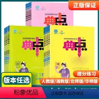 语文人教版 七年级下 [正版]2024版初中七八年级上九年级上册上下册数学语文英语物理化学典中点综合应用创新题初一二三课
