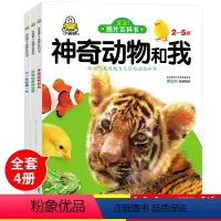 [正版]小婴孩图书大开本全套3册宝宝图片百科书 2-3-4-5岁书本宝宝书籍益智早教启蒙看图识物颜色认知儿童读物 两三
