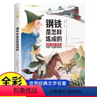 钢铁是怎样炼成的 [正版]钢铁是怎样炼成的彩图注音版二三年级课外书必读经典名著儿童彩图适合小学生三年级下册下学期阅读书籍