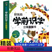 [好玩的学前识字]立体大开本 [正版]好玩的学前识字3D立体翻翻书 早教启蒙书儿童3d立体学前看图识字神器趣味识字大王幼