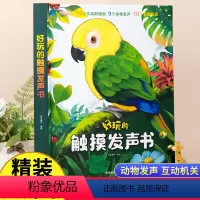 [好玩的触摸发声书]精装大开本 [正版]好玩的触摸发声书会说话的早教有声书 幼儿绘本点读语音读物撕不烂婴儿手指书籍0一3