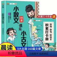[抖音同款]小散文遇见小古文160篇 [正版]小散文遇见小古文 160篇晨读小散文暮诵小古文汉知简好词好句好诗文积累打卡