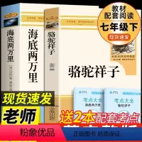 2本[人教-完整版]海底两万里+骆驼祥子 [正版]七年级下册必读骆驼祥子和海底两万里原著老舍人民教育出版社初中人教版完整