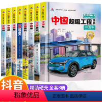 [全8册]中国超级工程(80%的人选择) [正版]中国超级工程丛书 中国航空航天 中国高铁中国桥工程院专家青少年建筑科普