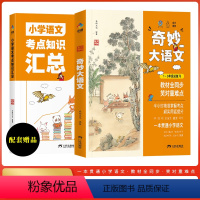 全2册[抖音同款]奇妙大语文 [正版]抖音同款奇妙大语文 小学语文知识大全汇总总结1-6年级总复习三四五六年级语文阅读理