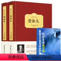 [正版] 爱弥儿 卢梭 上下全2册 西方百年学术经典精装系列 西方一部以小说形式写就的教育学论著与理想国民主主义与教育