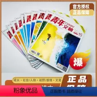 青年文摘15-24(全10册) [正版]青年文摘杂志2022年全10册 8月上下到12月上下 24/23/22/21/2