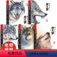 [全5册]沈石溪画本狼王梦 [正版]5册狼王梦 沈石溪动物小说大王狼王梦画本珍藏版完整版漫画版小学生三四五六年级课外书8