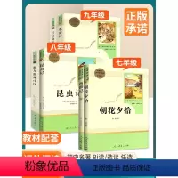 --------------------▷▷九年级名著必读◁◁-------------------- 初中通用 [正版
