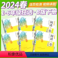 ⭐更高效⭐阅读力测评+阅读小卷 [B版下册] 小学二年级 [正版]2024春木头马阅读小卷一二三四五六年级AB版语文阅读