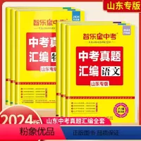 24山东专版[语文] 初中通用 [正版]山东专版2024中考真题汇编智乐星中考语文数学英语物理化学生物历史政治超真题练习