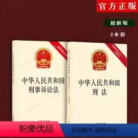 [正版]2023适用中华人民共和国刑法+刑事诉讼法含刑法修正案十一修正案11刑法法律法规单行本法条中国刑法刑诉法