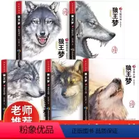 [全5册]沈石溪画本狼王梦 [正版]狼王梦 沈石溪动物小说大王狼王梦画本珍藏版完整版漫画版小学生三四五六年级课外书8-1