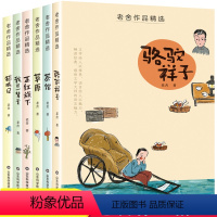 老舍作品精选(全6册) [正版]老舍作品精选全6册骆驼祥子猫城记草原茶馆我这一辈子正红旗下山东科学技术出版社9-12-1