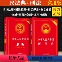 [正版]2023适用新中华人民共和国民法典+刑法/全2册婚姻合同侵权法条刑法司法解释法条法律法规单行本法律规定基础知识